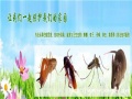 广元灭蟑螂
