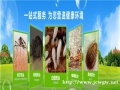 阜阳灭蟑螂