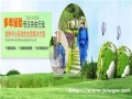 阜阳除四害