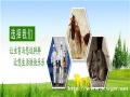 阜阳有害生物防治