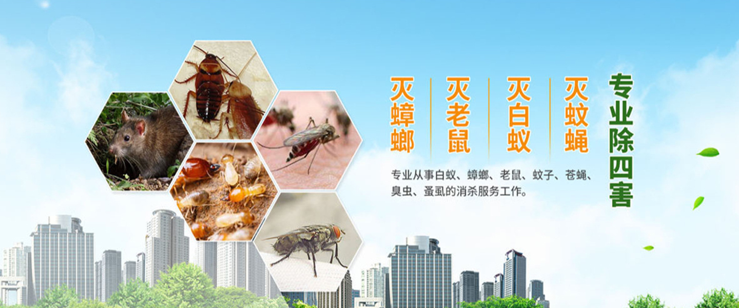 德清清波杀虫灭鼠公司