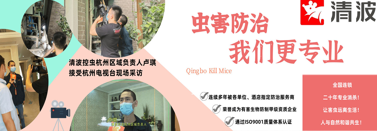 淳安清波杀虫灭鼠公司