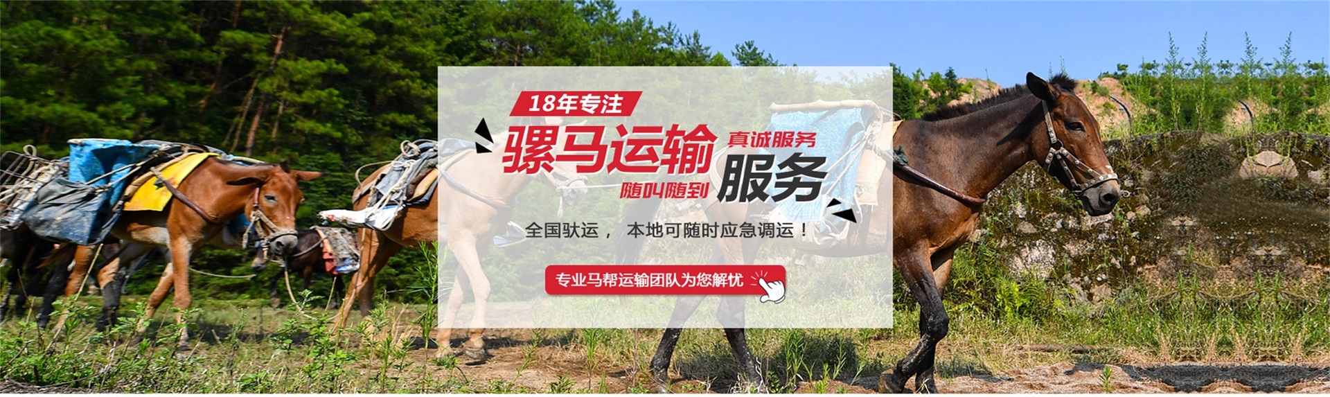 马帮运输队邢哥