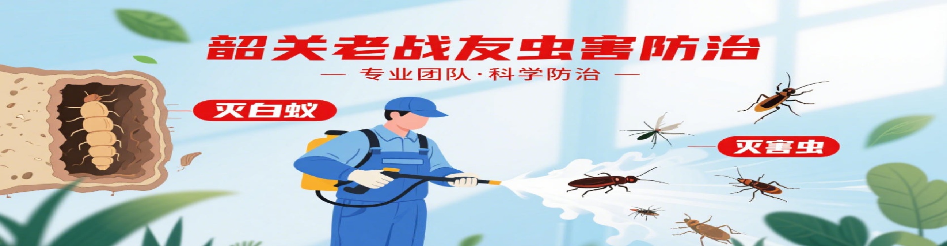 韶关老战友白蚁防治有限公司