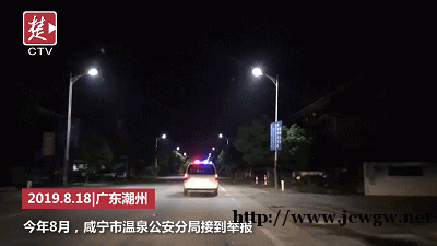 双胞胎宝宝刚出生就分开，一年后见面，一个动作让所有人震撼了