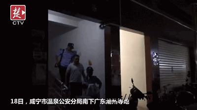 双胞胎宝宝刚出生就分开，一年后见面，一个动作让所有人震撼了