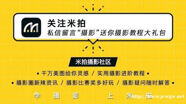 摄影师镜头下的黑豹，这是一百年来首次拍摄到的珍贵影像