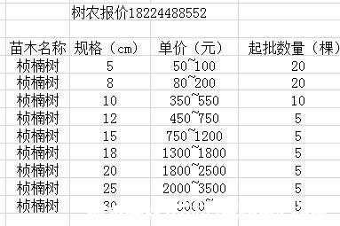 金丝楠木树苗价格表