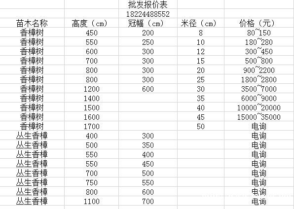 香樟树价格表.jpg