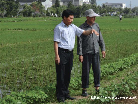 农村领导机构将发生变革，“一肩挑”制度走马上任，优势明显