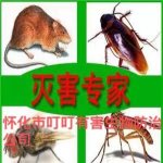 怀化灭鼠公司_怀化灭蟑螂_怀化杀虫公司_怀化市叮叮有害生物防治有限责任公司