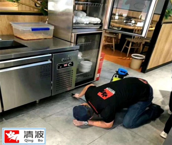 德清灭蟑螂公司如何有效消灭蟑螂？