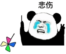 宠物知识狗狗多久洗一次澡 宠物知识狗狗多久洗一次澡