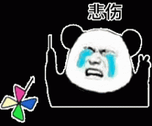 宠物知识狗狗多久洗一次澡