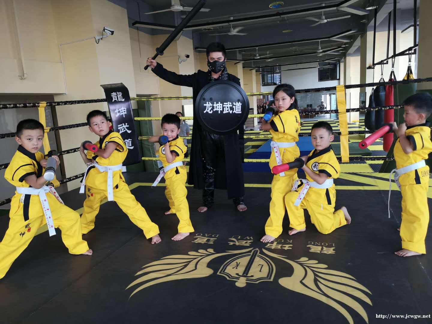 重庆两江新区约克郡汀兰成人少儿武术搏击体智能培训 重庆两江新区约克郡汀兰成人少儿武术搏击体智能培训