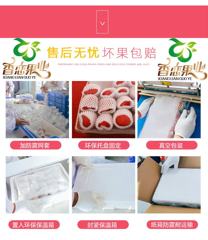 香恋果业 丹东九九草莓(牛奶草莓)3斤150元 产地直发 全 香恋果业 丹东九九草莓(牛奶草莓)3斤150元 产地直发 全