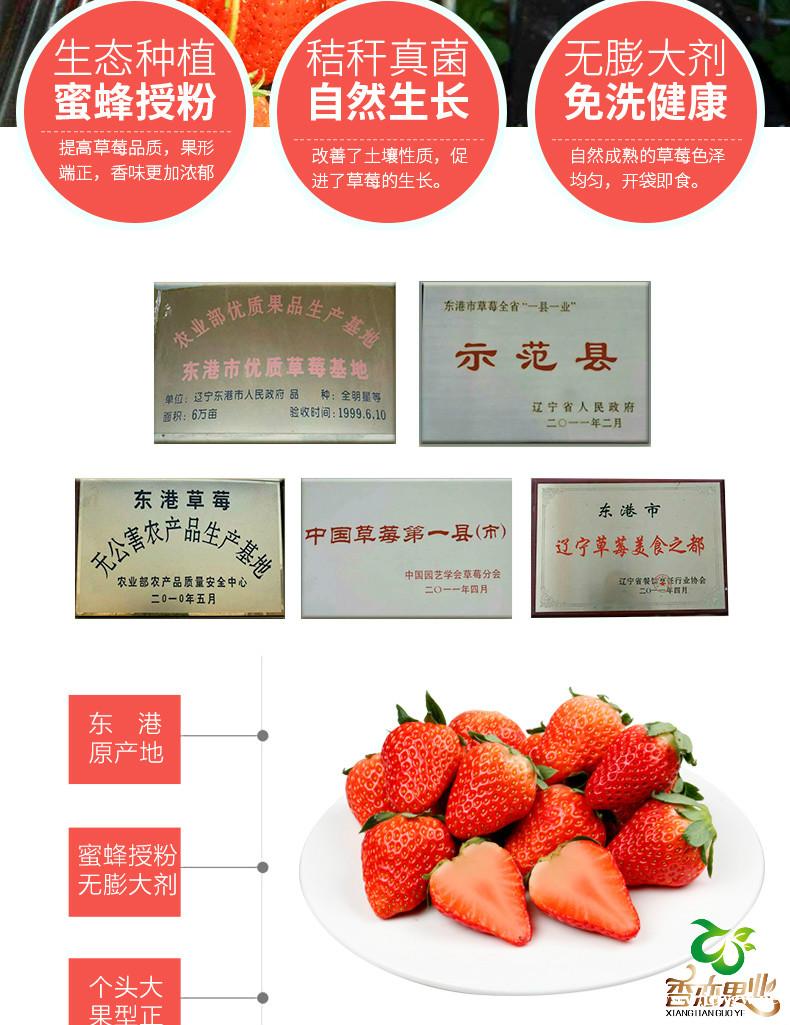 香恋果业 丹东九九草莓(牛奶草莓)3斤150元 产地直发 全 香恋果业 丹东九九草莓(牛奶草莓)3斤150元 产地直发 全