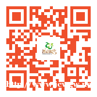 香恋果业 丹东九九草莓(牛奶草莓)3斤150元 产地直发 全 香恋果业 丹东九九草莓(牛奶草莓)3斤150元 产地直发 全