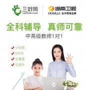 上海寒假初三化学家教班三好网中高级教师一对一在线辅导