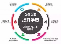 广西函授怎么报名