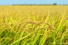 王祖蓝的爱情也同样离不开柴米油盐！