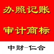 哥，嫂子，开公司你看还有啥我没想到的--丰台北大地会计公司