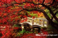 提升大专本科学历，成就一个全新的自己（成人高考）
