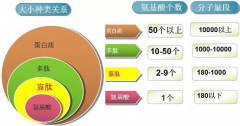 燕窝胶原蛋白肽是什么东西对人体有什么作用