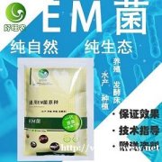 蚂蟥养殖能使用EM菌吗