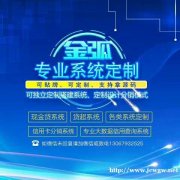 各类智能代还金融软件APP开发定制 周期短