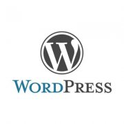 WordPress网站开发,WordPress App开发,