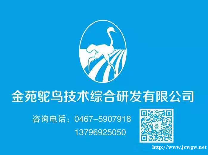 鸵鸟油有什么功效呢_鸵鸟油哪里有卖_鸵鸟油是什么,鸵鸟油产地 鸵鸟油有什么功效呢_鸵鸟油哪里有卖_鸵鸟油是什么,鸵鸟油产地