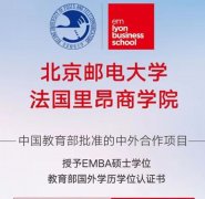 中外合作法国里昂（EMBA）硕士学位