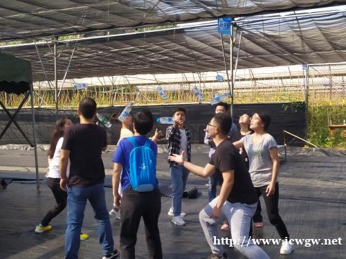 深圳有家好玩的农家乐叫做九龙生态农业园 深圳有家好玩的农家乐叫做九龙生态农业园