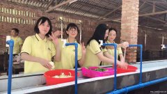 广州学校学生团建拓展亲子互动的农家乐