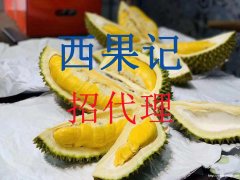 西果记水果批发诚邀代理