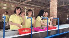 广州海珠天河户外团建班级拓展学校团体亲子教育的基地
