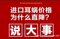 疫情平稳 手术启动 美国耳蜗大幅特惠来袭！