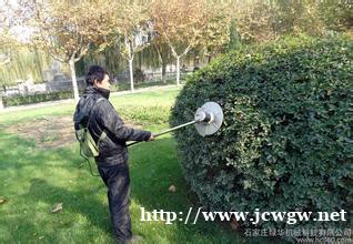 公共园林绿地养护公园绿化养护道路绿化养护专业托管 公共园林绿地养护公园绿化养护道路绿化养护专业托管