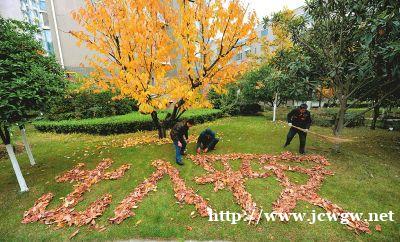 公共园林绿地养护公园绿化养护道路绿化养护专业托管 公共园林绿地养护公园绿化养护道路绿化养护专业托管