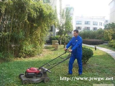 公共园林绿地养护公园绿化养护道路绿化养护专业托管 公共园林绿地养护公园绿化养护道路绿化养护专业托管