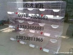 生产兔子笼鸽子笼鹌鹑笼宠物笼运输笼鸽笼门兔笼门鸡笼鸟笼 饲料