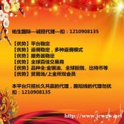 黄金平台代理