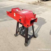 小型输送带铡草机 全自动多功能秸秆铡草机 畜牧养殖干湿用打草