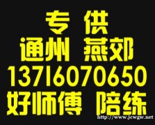 燕郊通州汽车陪练公司新手入口