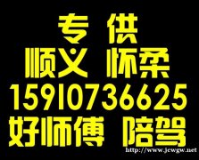 顺义怀柔好师傅汽车陪练公司