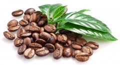 青岛进口咖啡豆的操作流程