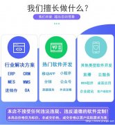 企业网站开发企业公司网站建设多年品牌服务保障非模板