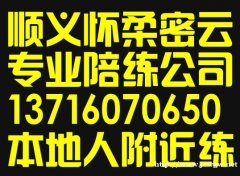 密云怀柔顺义汽车陪练公司