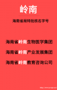 岭南特批字号集团公司转让 海南省局核名